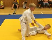 Judo-Fallschule -sicheres Werfen und Fallen von Anfang an-klein.jpg